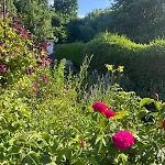 公寓 Gartenblick 布兰肯海姆