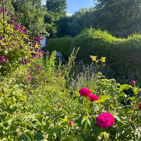 Lägenhet Gartenblick Blankenheim (North Rhine-Westphalia)