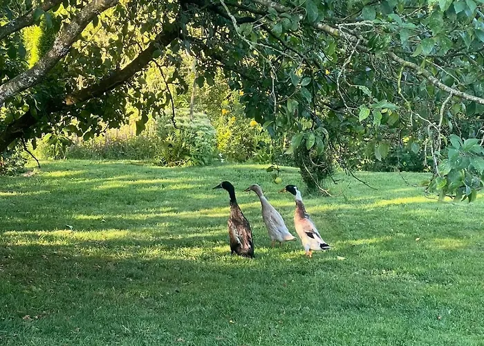Gartenblick Lejlighed Blankenheim (North Rhine-Westphalia)