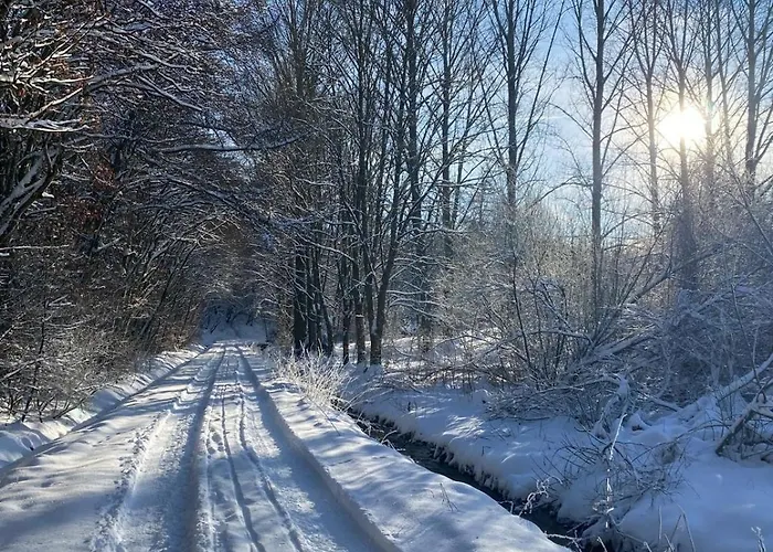 Gartenblick Lejlighed